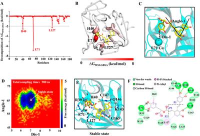 Computational and experimental studies of salvianolic acid A targets 3C protease to inhibit enterovirus 71 infection